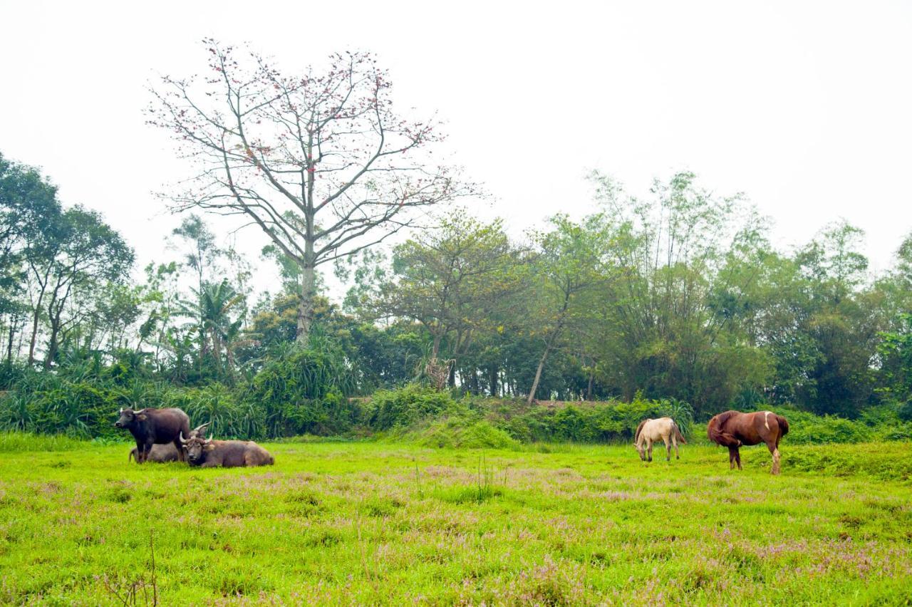 Hoang Giang Homestay Ninh Binh Exterior foto